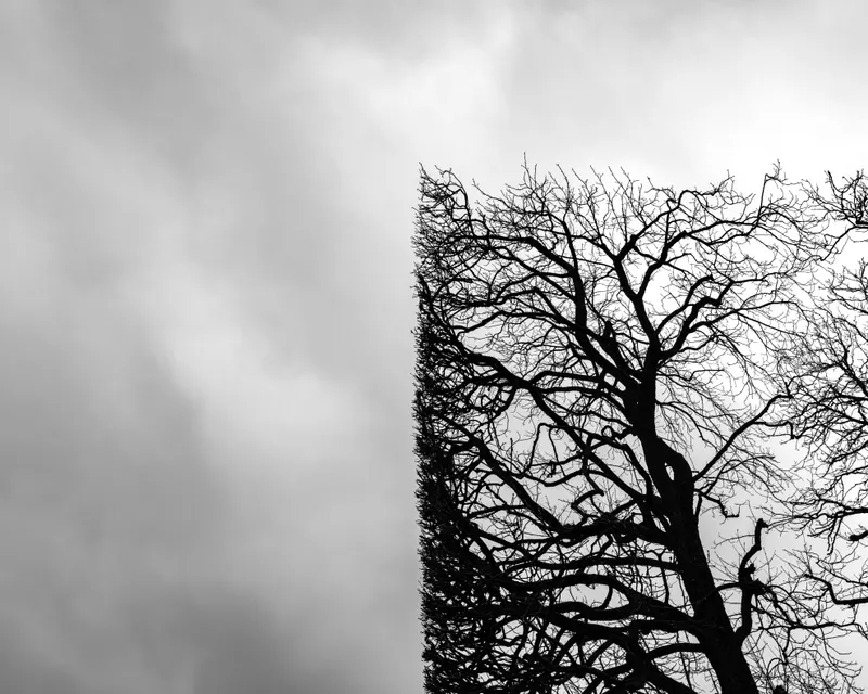 RAMURES