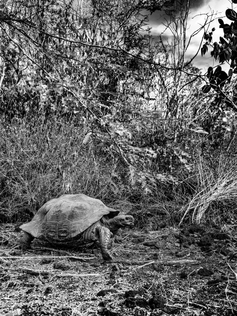 equateur23-1-46.jpg