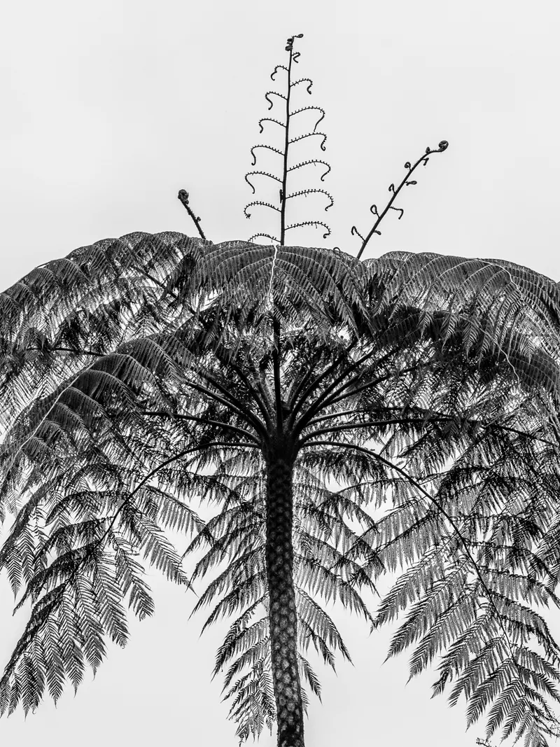 equateur23-1-40.jpg