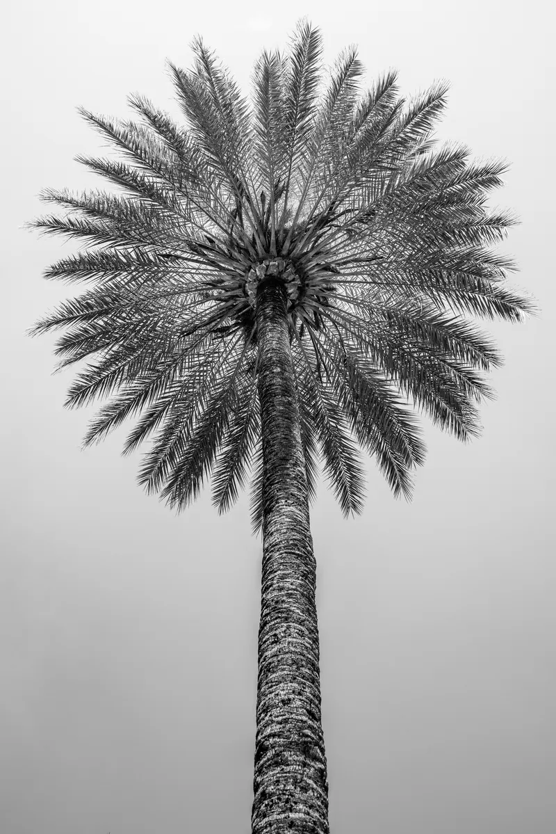 seville-9336.jpg