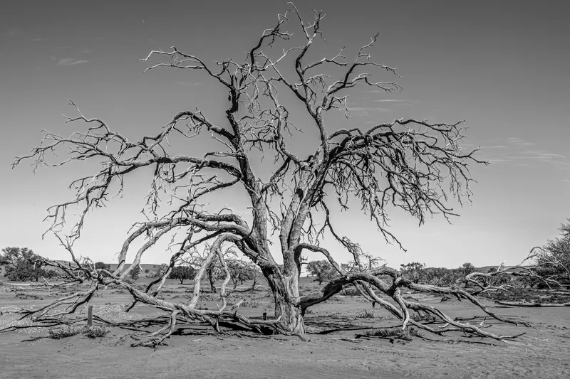 namibie-1375.jpg
