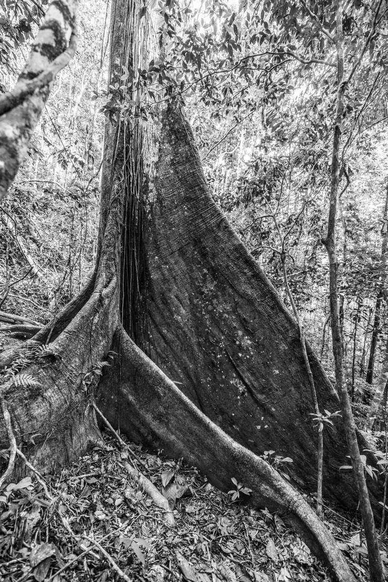 Equateur23-1-96.jpg
